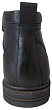Tofa - 4