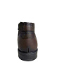 Tofa - 4