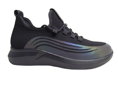 TFS-Torsion Field - 1