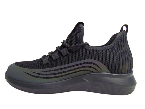 TFS-Torsion Field - 3