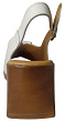 Tofa(K) - 4