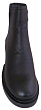 Covani - 2