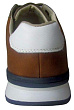 Tofa(K) - 4