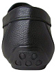 Tofa - 5