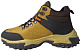 Torsion Field (K) - 3