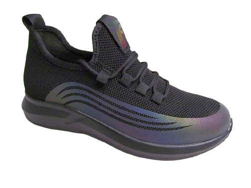 TFS-Torsion Field - 0