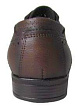 Tofa - 4